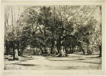 A By-Road in Tipperary