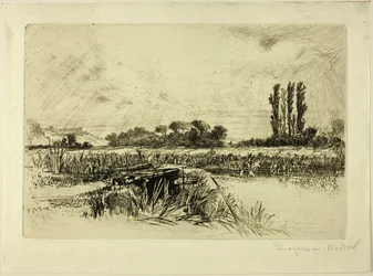 A Water Meadow
