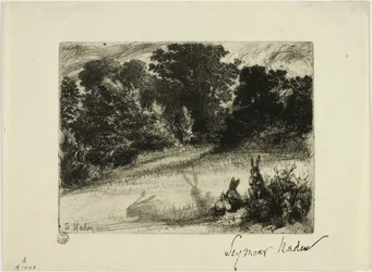 Combe Bottom