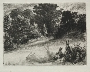 Combe Bottom