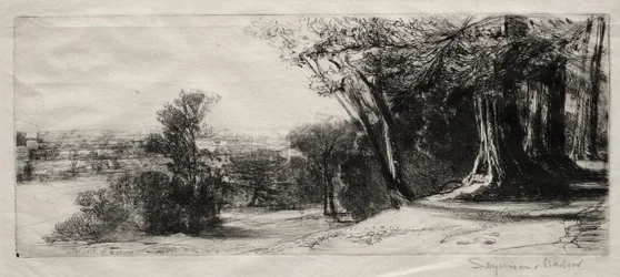 Early Morning, Richmond Park