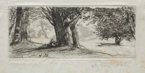 Holly Field