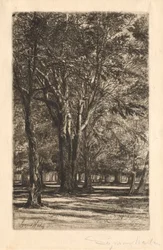 Kensington Gardens, No. 2 Large Plate