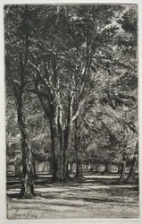 Kensington Gardens The Large Plate, 1860