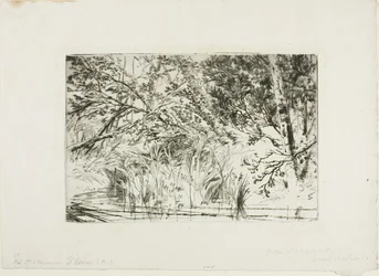 Mouth of a Brook, No. II