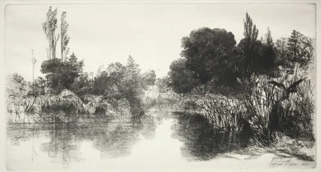 Shere Mill Pond