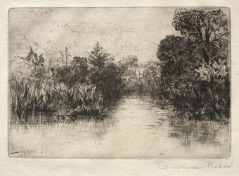 Shere Mill Pond: A Small Study