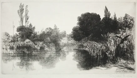 Shere Mill Pond, No. 11 (The Large Plate)