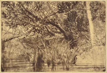 The Mouth of a Brook No.1