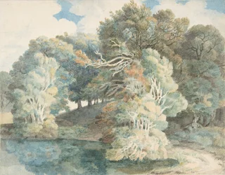 Trees by the Lake, Peamore Park, near Exeter, Devon