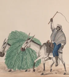 A Man Riding a Mule, His Whip Raised, Another Mule Loaded with Grass Alongside