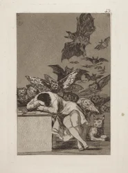 The Sleep of Reason Produces Monsters, pl. 43 from the series Los Caprichos