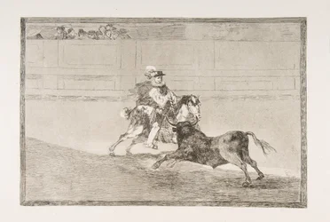 Plate 13 of the 