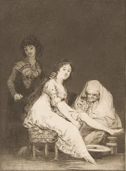 Plate 31 from 