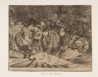 Plate 79 from 