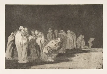 Plate 8 from the 