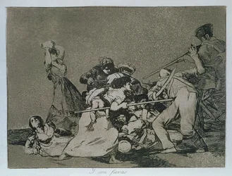And they are like wild beasts, plate 5 of 
