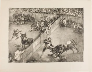 Bullfight in a Divided Ring, from The Bulls of Bordeaux