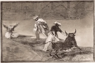 Bullfighting: The Moors play the cape with another bull in an enclosure