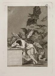 The Dream of Reason Produces Monsters