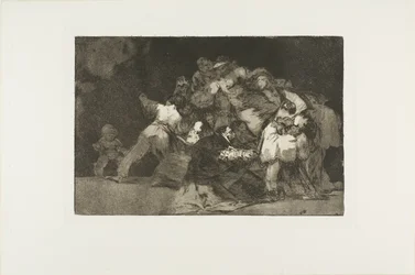 General Folly, plate nine from The Proverbs