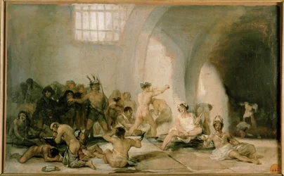 Lunatic asylum