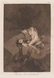 Who Would Believe It?