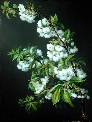 A Sprig of White Blossom