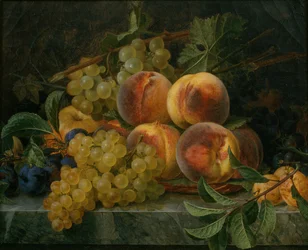 Still Life