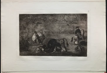 Bullfights: The Dog Let Loose on the Bull