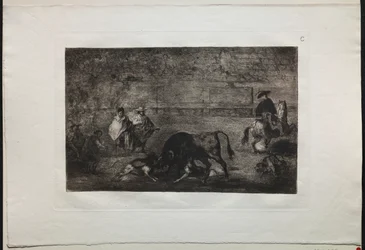 Bullfights: The Dog Let Loose on the Bull