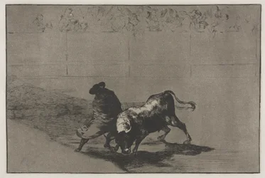 Bullfights: The Very Skilful Student of Falces, Wrapped in His Cape, Tricks the Bull with the Play of His Body
