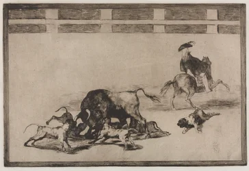 Bullfights: They Loose Dogs on the Bull