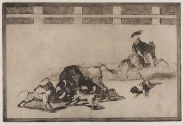 Bullfights: They Loose Dogs on the Bull, 1876