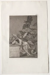 Caprichos: The Sleep of Reason Produces Monsters