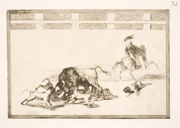 They Set the Dogs on the Bull