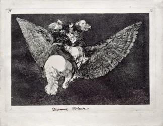 Flying Folly from the Series Los Disparates Follies
