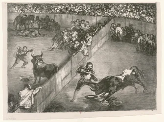 [The Bulls of Bordeaux: The Division of Place]