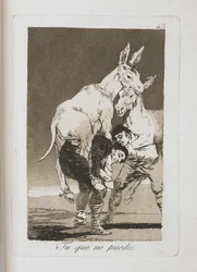 Plate from Los Caprichos, 1797-1798