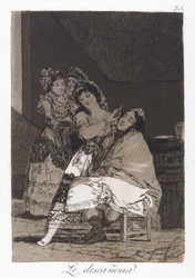 She Fleeces Him (Le descanona), plate 35 of Los Caprichos