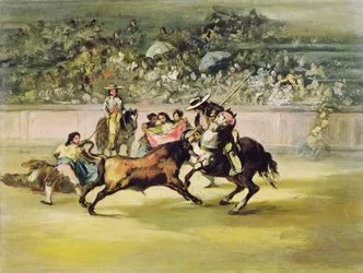 The Courageous Randon fighting a Bull