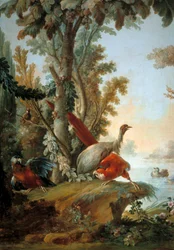 Herons and Parrots