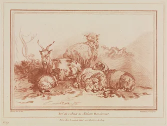Sheep Herd