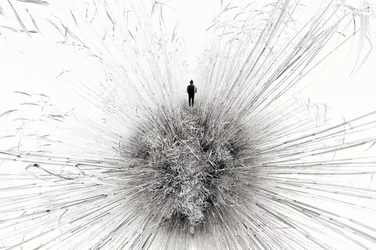 Lone Figure Amidst Reeds