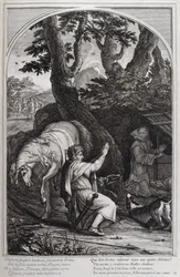 Illustration from 