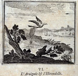 The Spider and the Swallow (Illustration by François Chauveau)