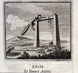 The English Fox. Fables by Jean de La Fontaine (1621-95). Illustration by François Chauveau (1613-1676). Edition of 1728