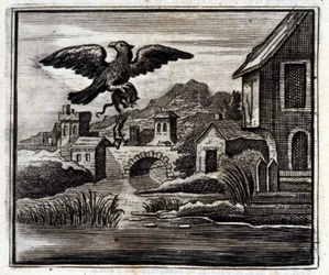 The Frog and the Rat