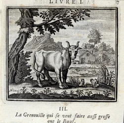 The Frog who wants to get as big as the Beef (Illustration by François Chauveau)