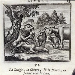 The Genisse the Gove and the Sheep in society with the Lion (Illustration by François Chauveau)